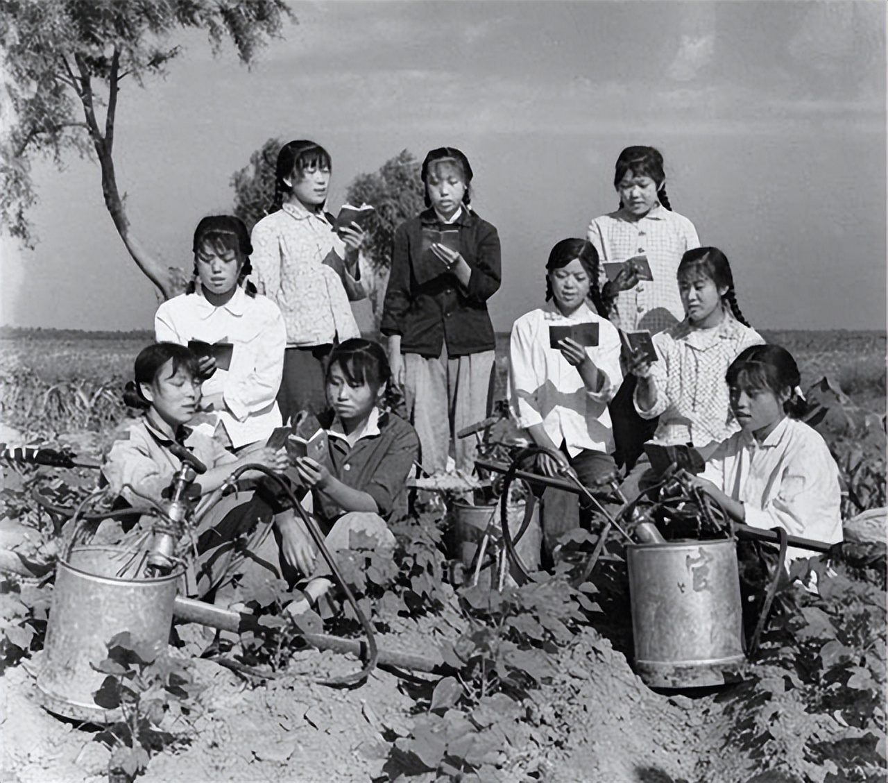 西双版纳上海女知青失踪之谜,西双版纳女知青失踪之谜