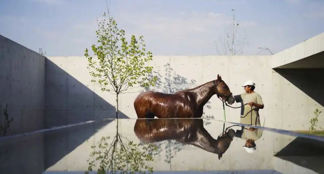 阿根廷EstudioRamos建筑事务所-真诚的现代主义！|EstudioRamos