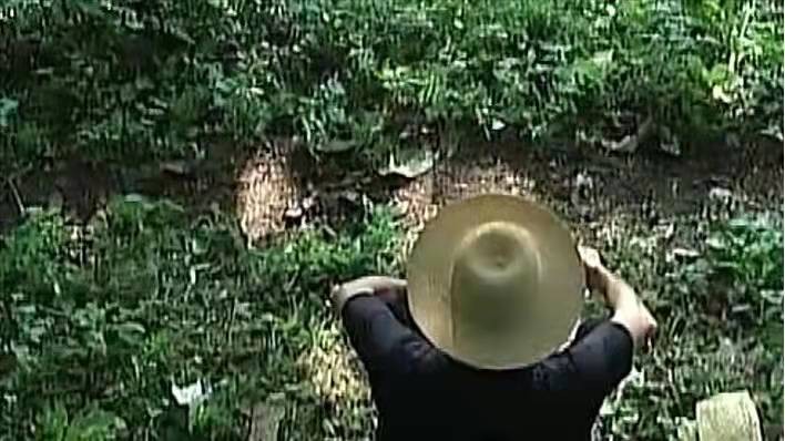 祖传毒蛇术招蛇视频,湖南村民招蛇术