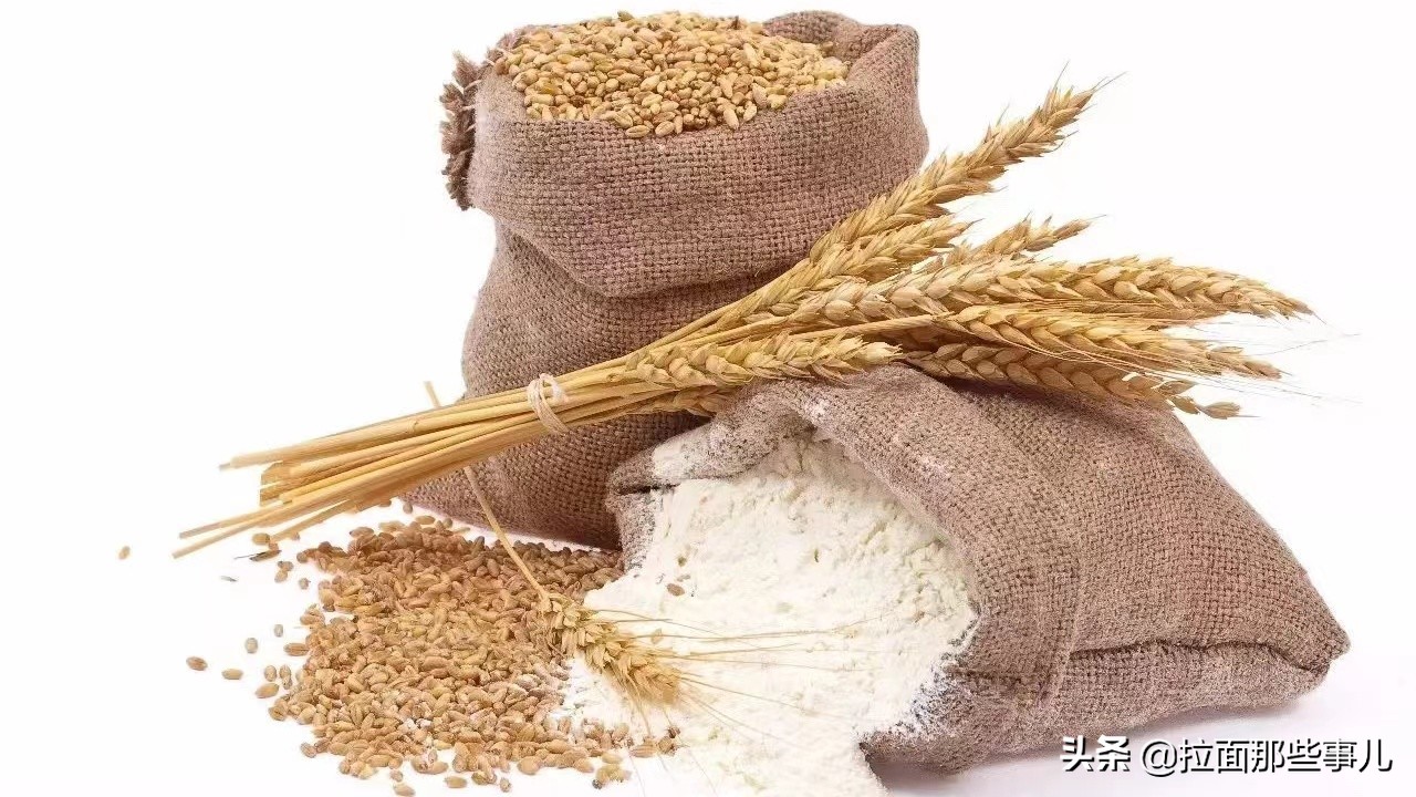 全国哪的面粉最好吃,全国最好的面粉排名