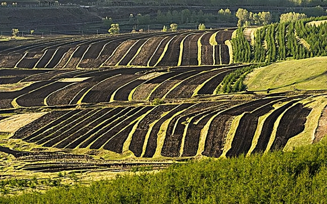 谁在砸中国人饭碗？200万年形成的“土中熊猫”，被4元贱卖给美日