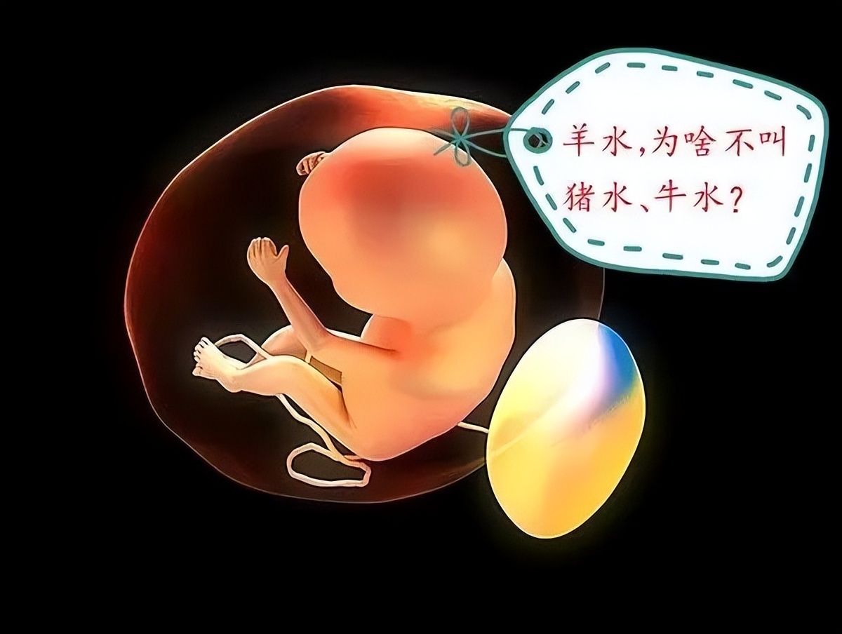 医务人员专业知识,医务人员学医学知识