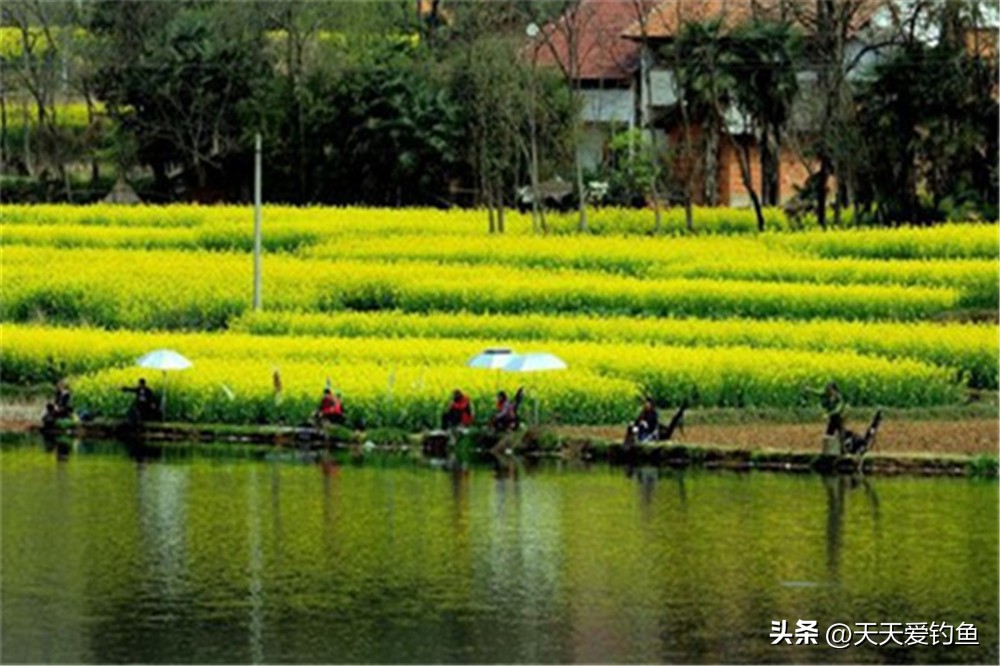 野钓上鱼最佳因素,怎么钓大鱼避免小鱼闹窝