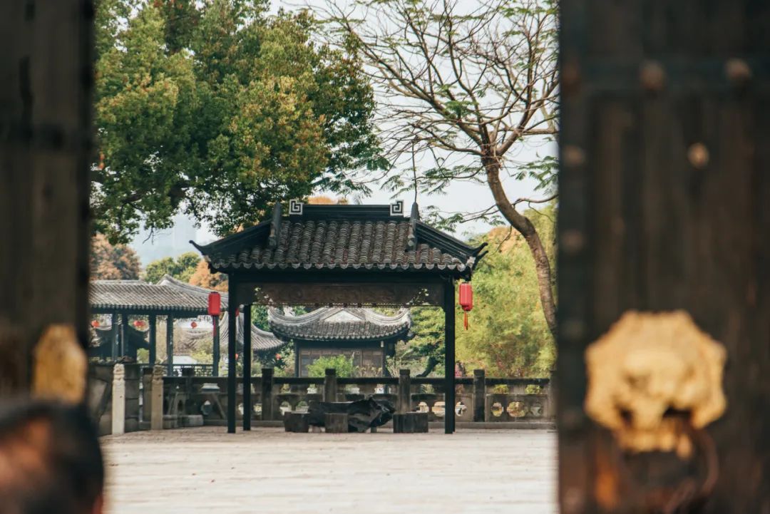 中山为什么出名,中山为什么这么值得买