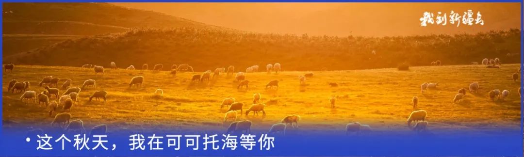 入疆旅游攻略,环疆旅游攻略大全