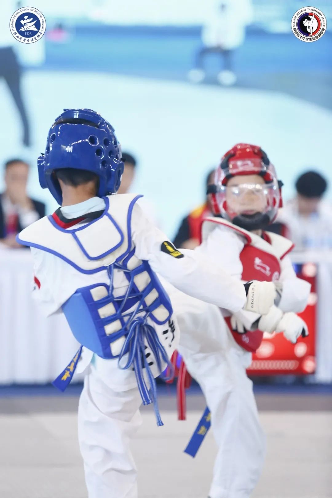 跆拳道小孩夺冠喜报,跆拳道馆比赛获奖喜报模板