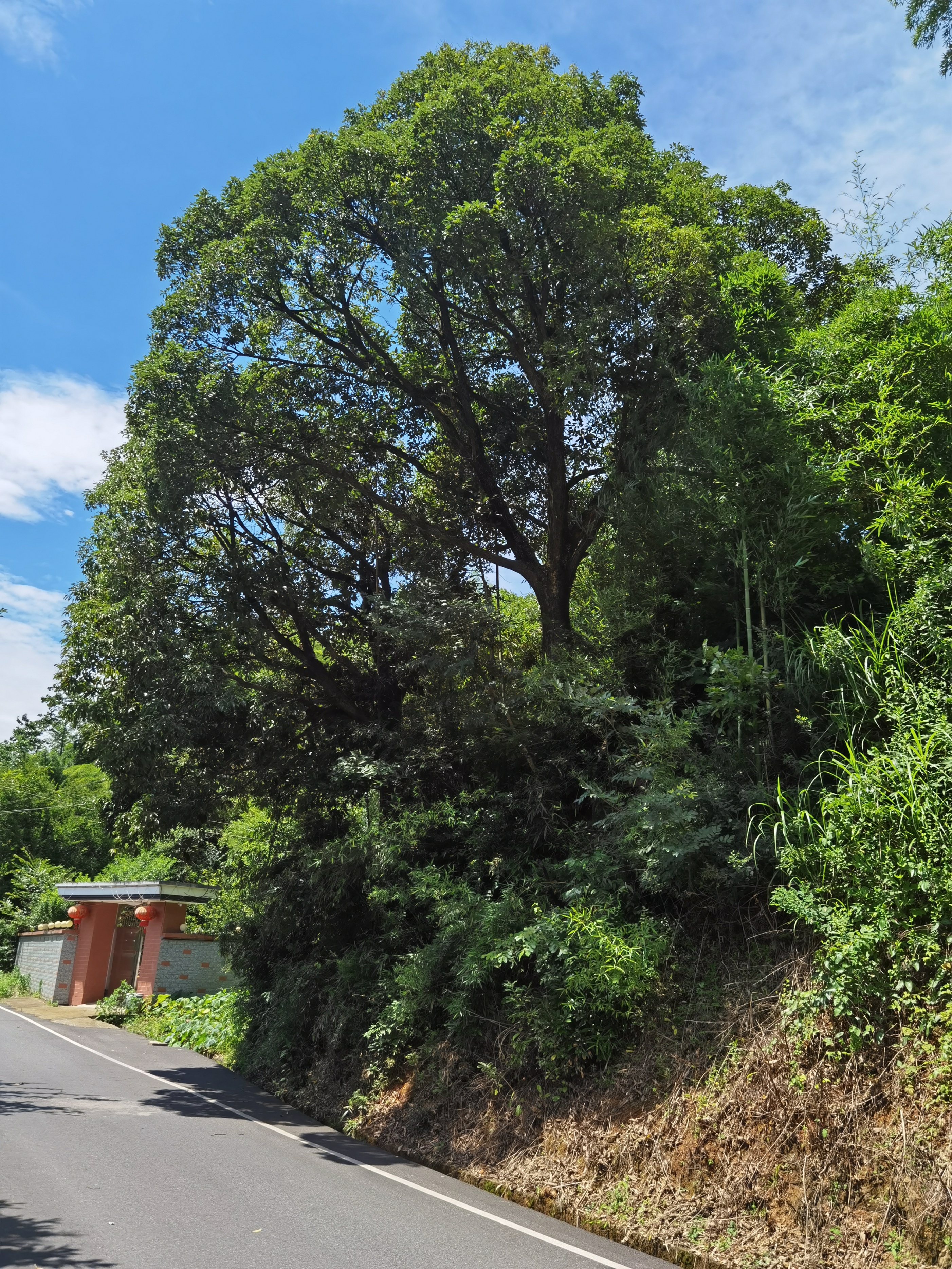 跟着国家地理去旅行2014,跟着中国国家地理旅行绘本