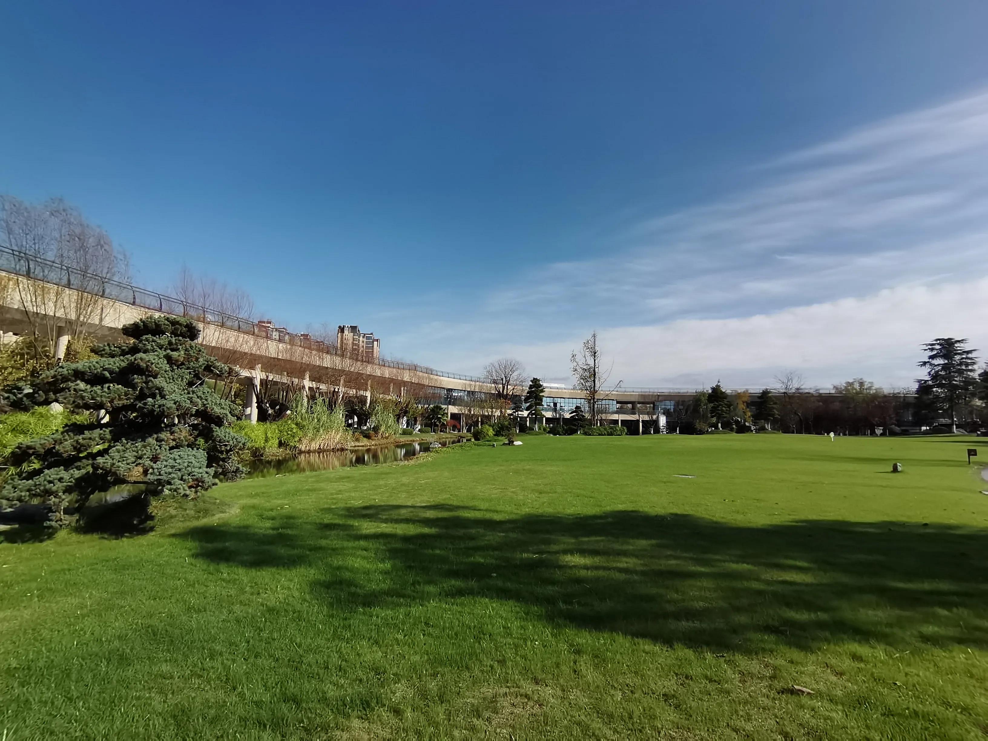 阳了不用慌,阳了不用怕