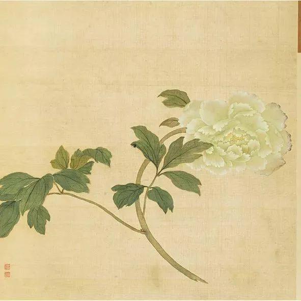 蒋廷锡牡丹画法,蒋廷锡百种牡丹画法