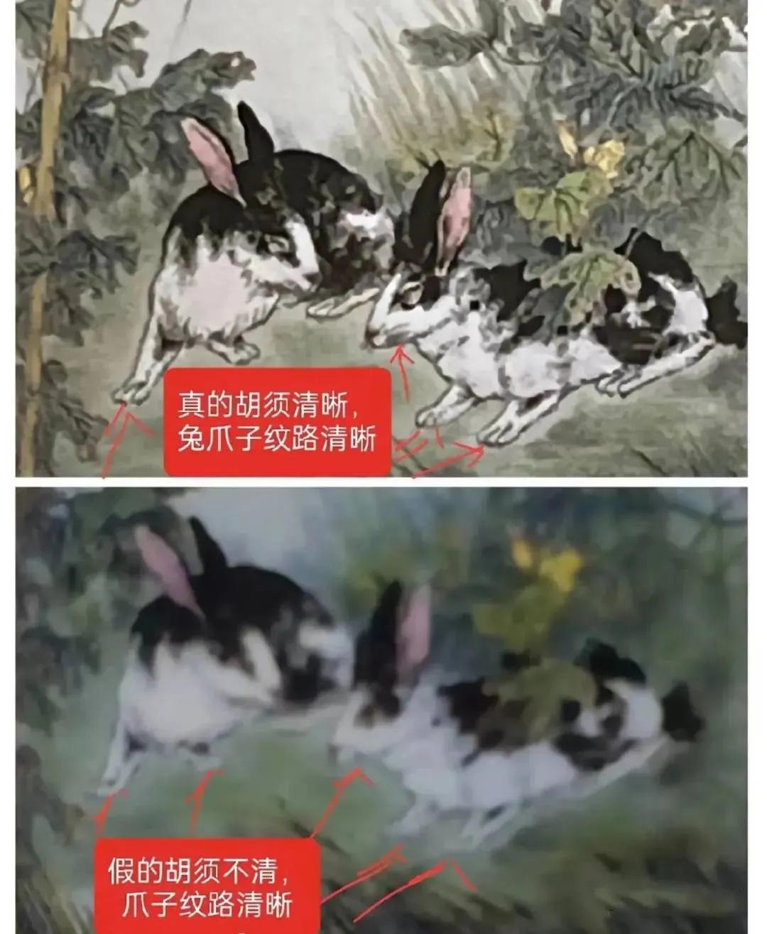 兔茅真假鉴别视频教程,2023兔茅真假鉴别