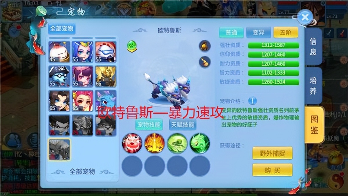 天书奇谈vip兑换码,天书奇谈累计充值奖励