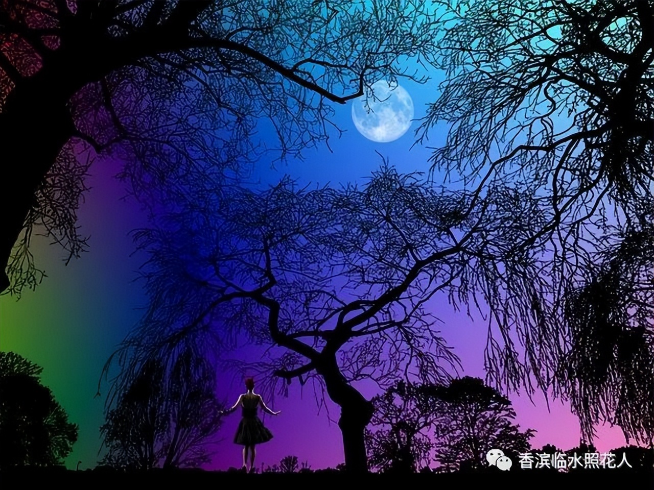 满分作文奋斗成就梦想,奋斗成就梦想小作文