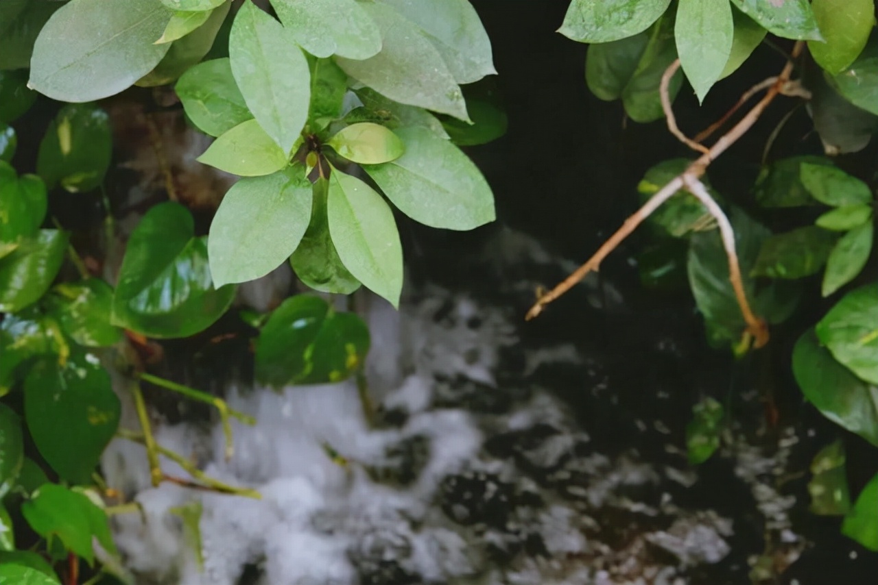 郑州遛娃免费景点大全,郑州周边遛娃好去处快去带娃去耍