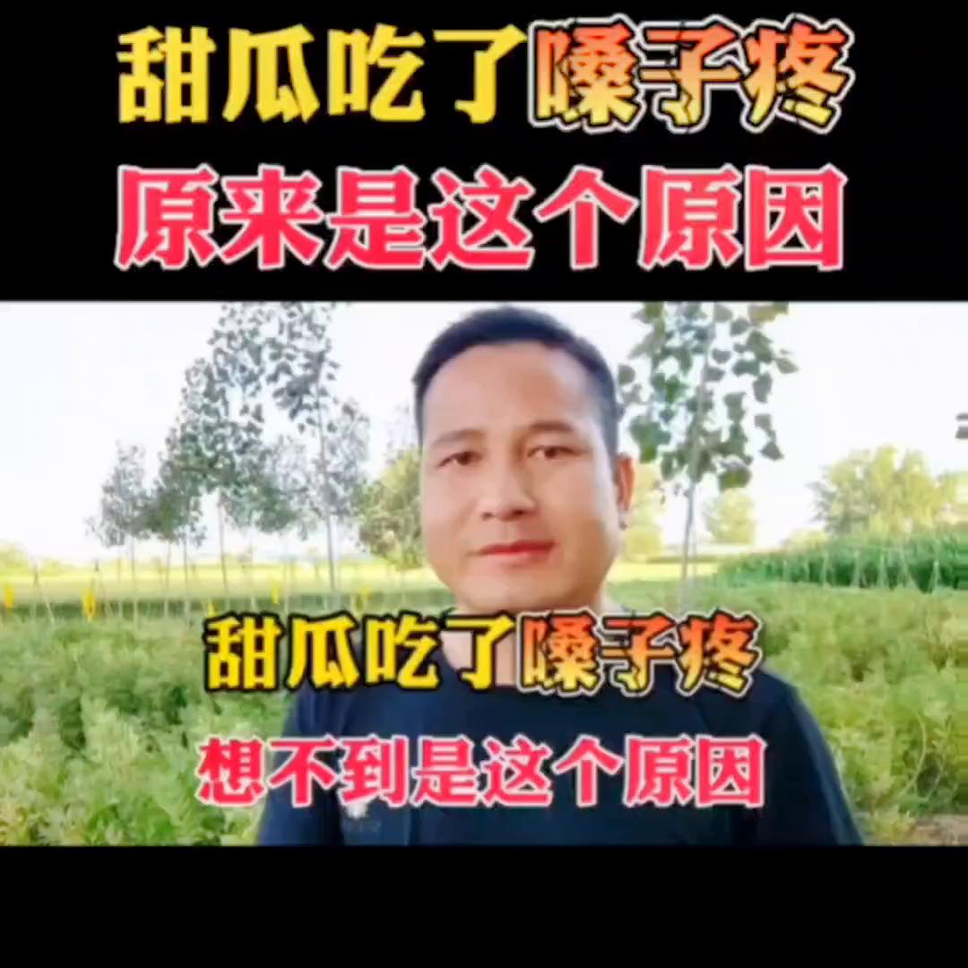 现在的甜瓜为什么吃完嗓子不舒服,这个甜瓜有点苦