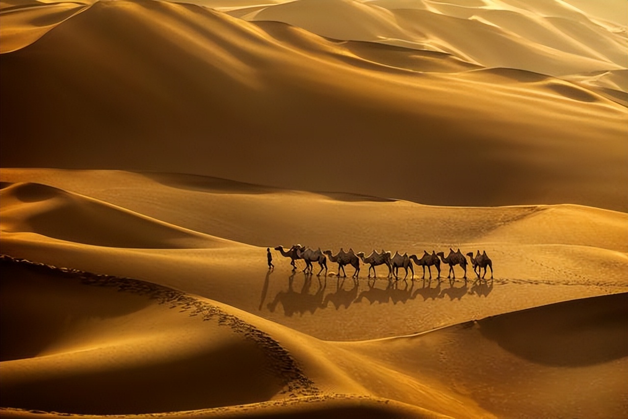 沙漠变绿洲对地球有什么影响,沙漠变绿洲这属于什么现象