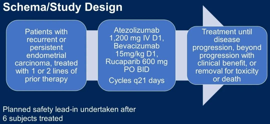 蒋葵教授点评EndoBARR：非化疗三联方案“出击”复发性子宫内膜癌