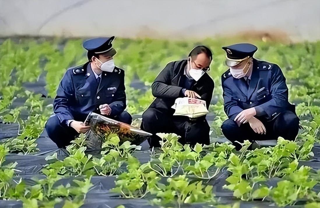 专家建议农村不准种菜养鸡鸭,地方政府有权力禁止农民养鸡鸭吗