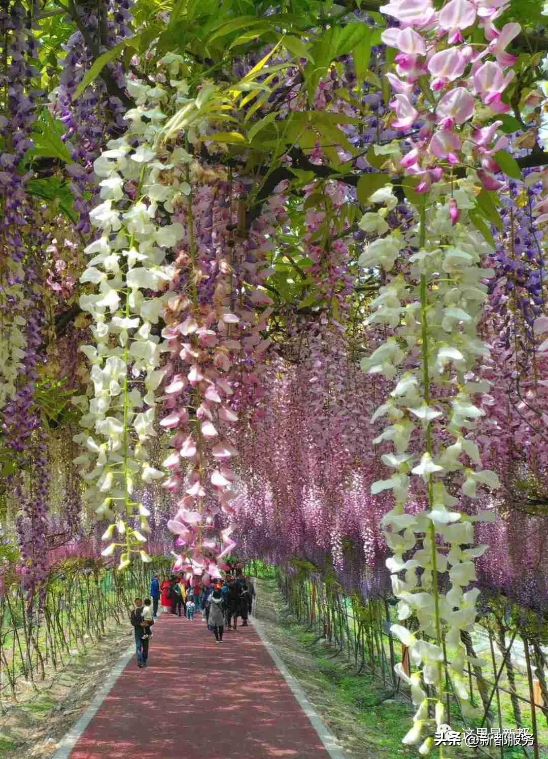 芳华微马公园好耍不,芳华微马公园有什么玩的