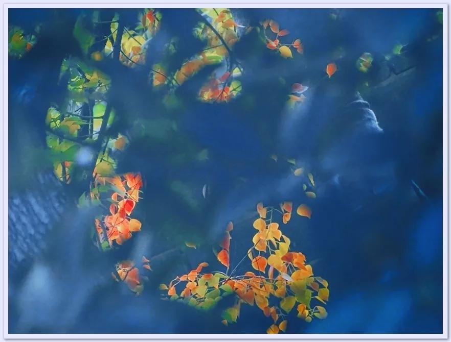 鑹插僵鏋勬垚浼樼浣滃搧,鑹插僵閫犲瀷鎽勫奖鏁欑▼