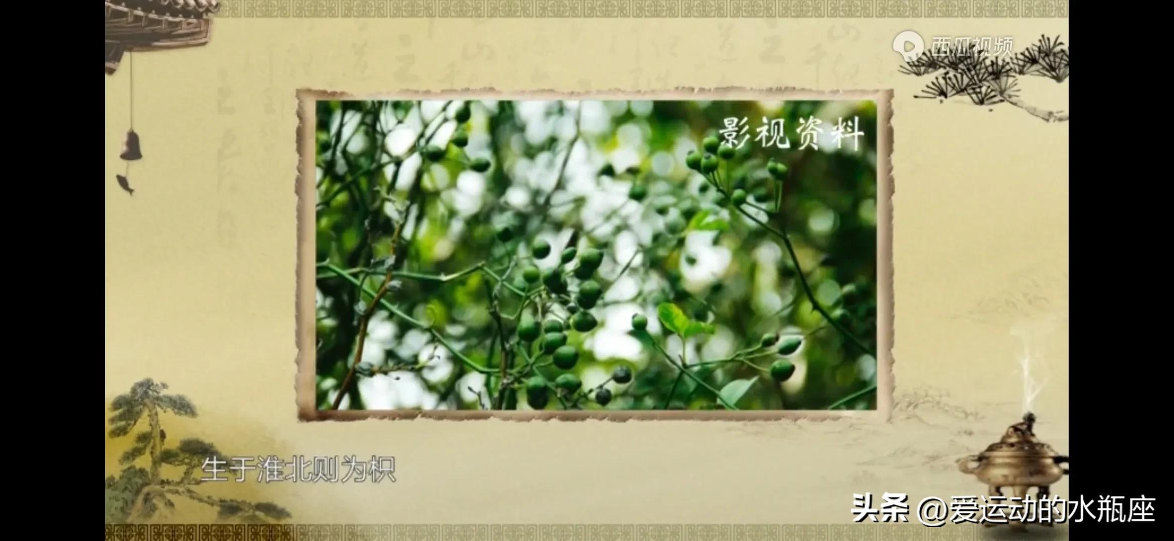 伏羲创卦，是将观察所得的自然现象符号化并进行推广