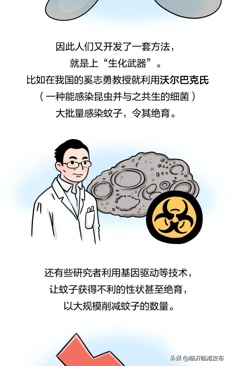 蚊子太毒怎么处理,彻底绝杀蚊子的妙招