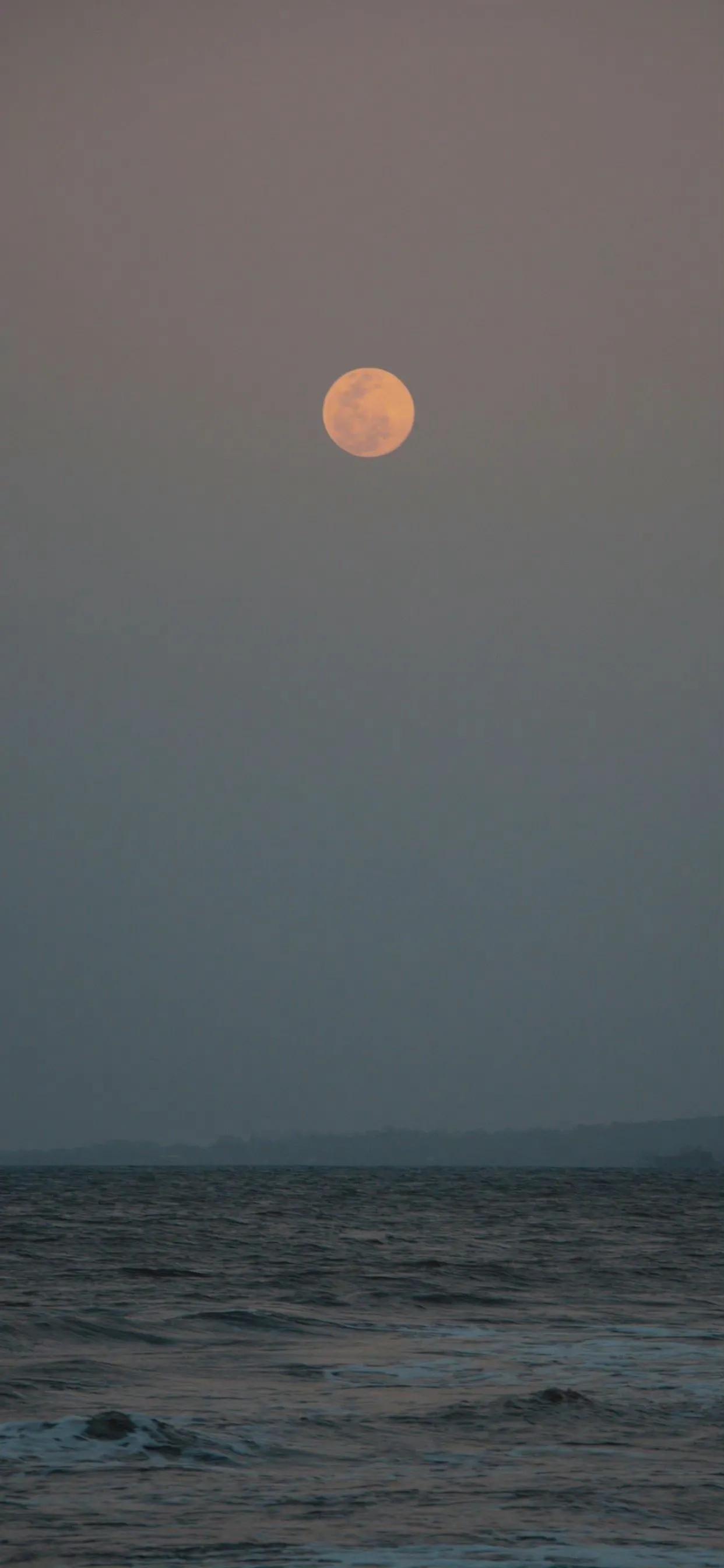 八月十五关于月亮的优美诗句,关于十五的月亮圆的诗句