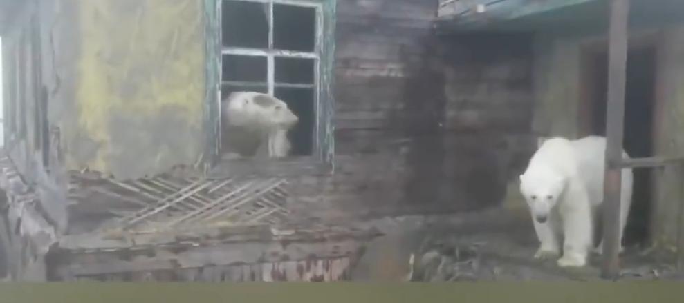 极端高温,灾难的开始…该如何拯救