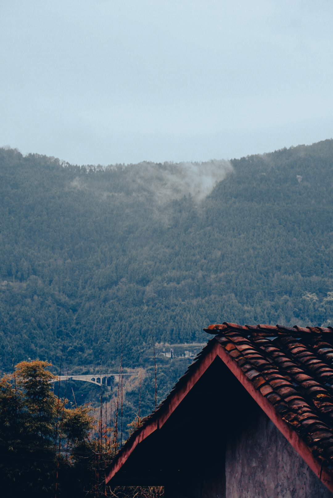 微单：SONYα6000手机：XIAOMIMIX4记录我的美好时刻