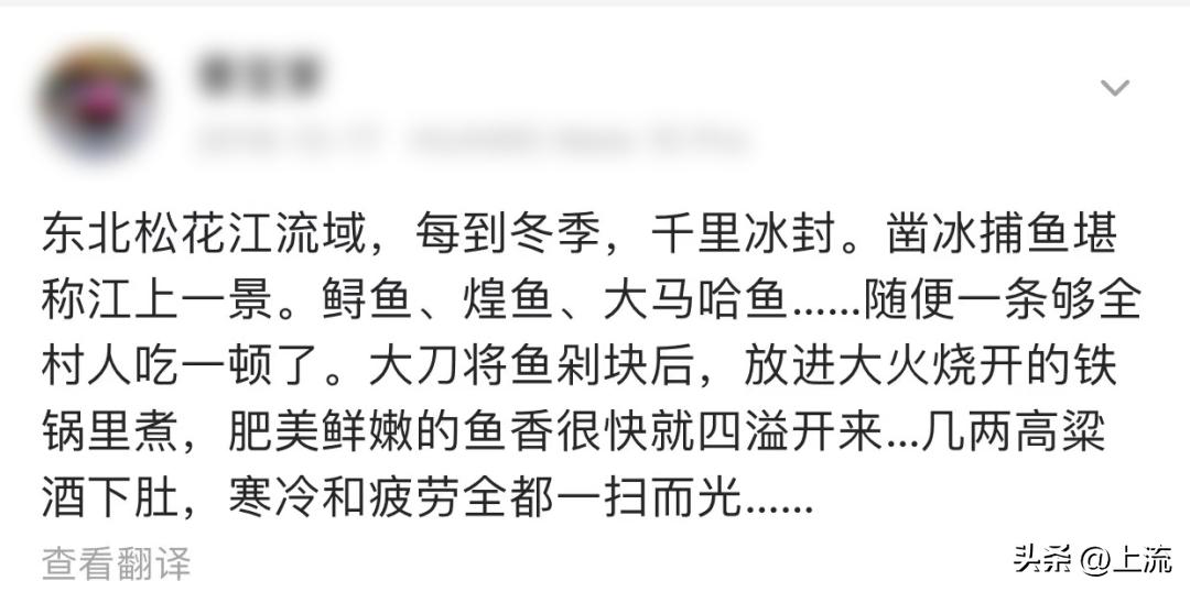 大马哈鱼,东北大马哈鱼