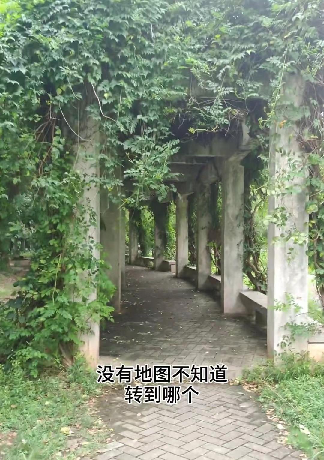 一女生参观华科迷路买地图,遇红绿灯后感叹:华科到底有多大?