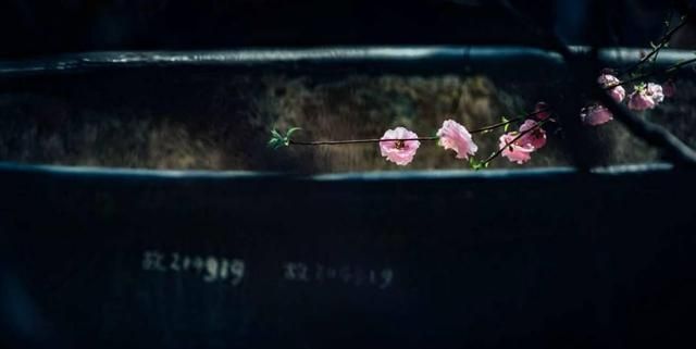 最有气势的十首帝王诗,历代皇帝最有气势的诗