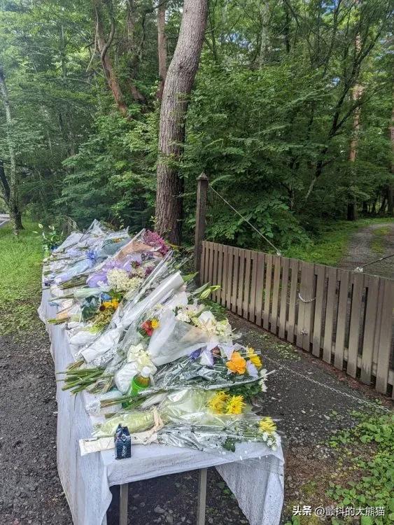 安倍昭惠会继承安倍遗产吗,安倍晋三有财产和子女吗