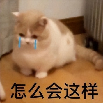 2023婴儿食品品牌排行榜前十名,宝宝辅食水饺推荐