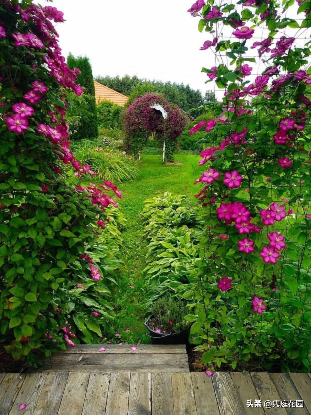 院子的生活才美好,一个装满生活气息的院子