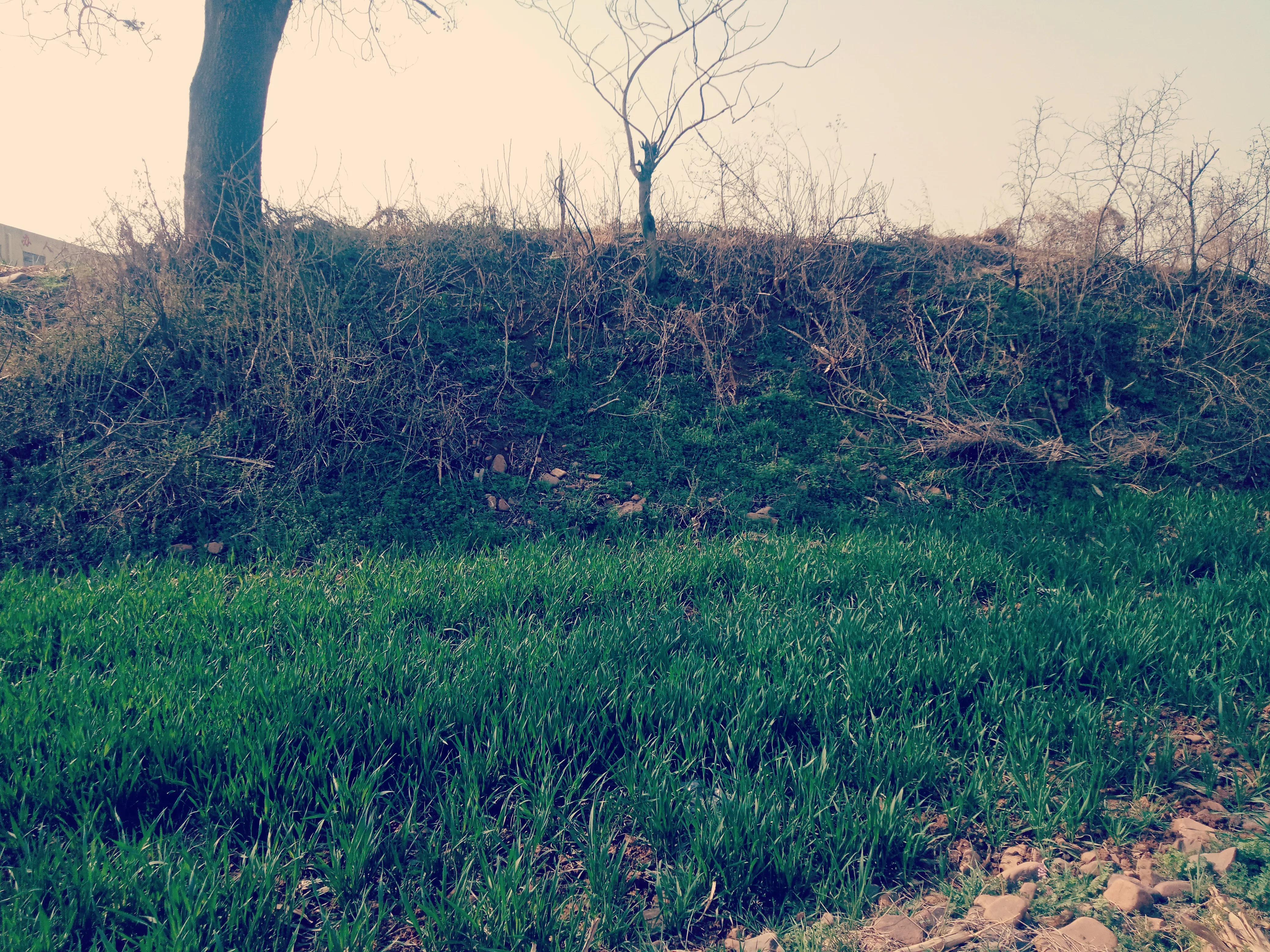 宝泉寺为啥叫寨​上？