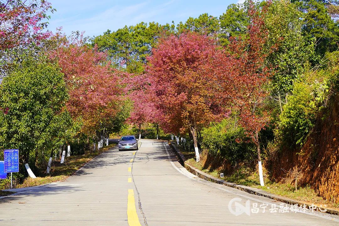 新时代新征程加快构建新发展格局,新时代新征程新成就云南