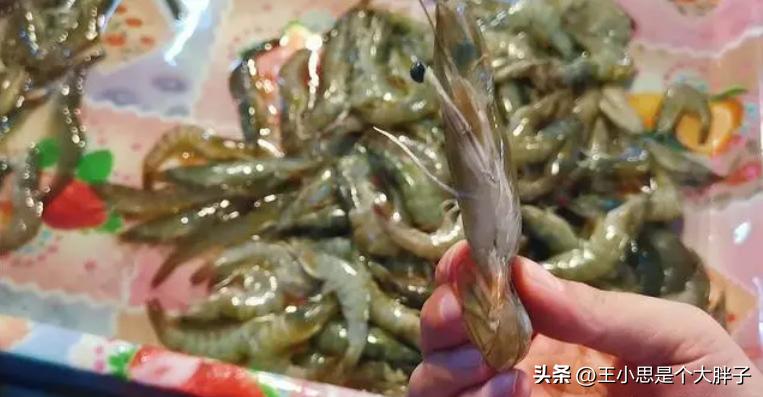 购买新鲜虾的正确方法,水产虾怎么挑选