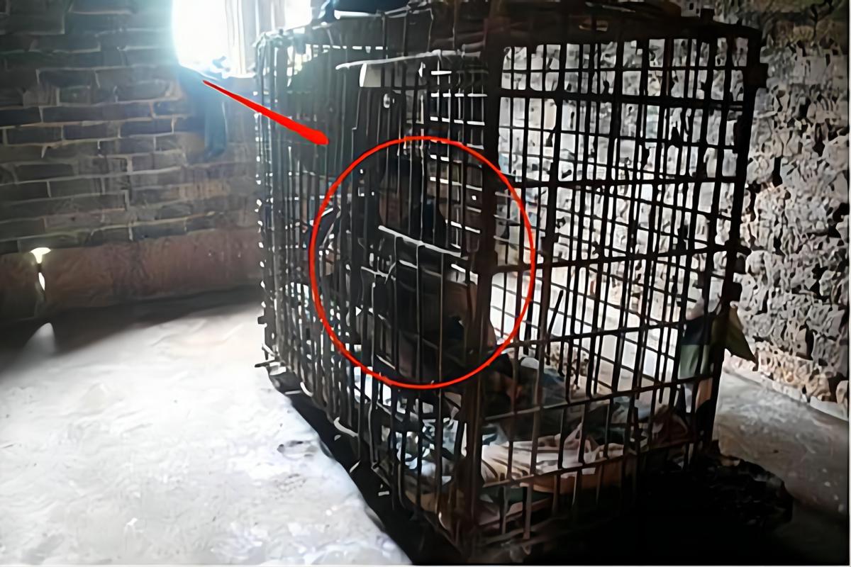 千峡湖铁笼沉尸案纪实,今日说法浙江千峡湖铁笼沉尸案