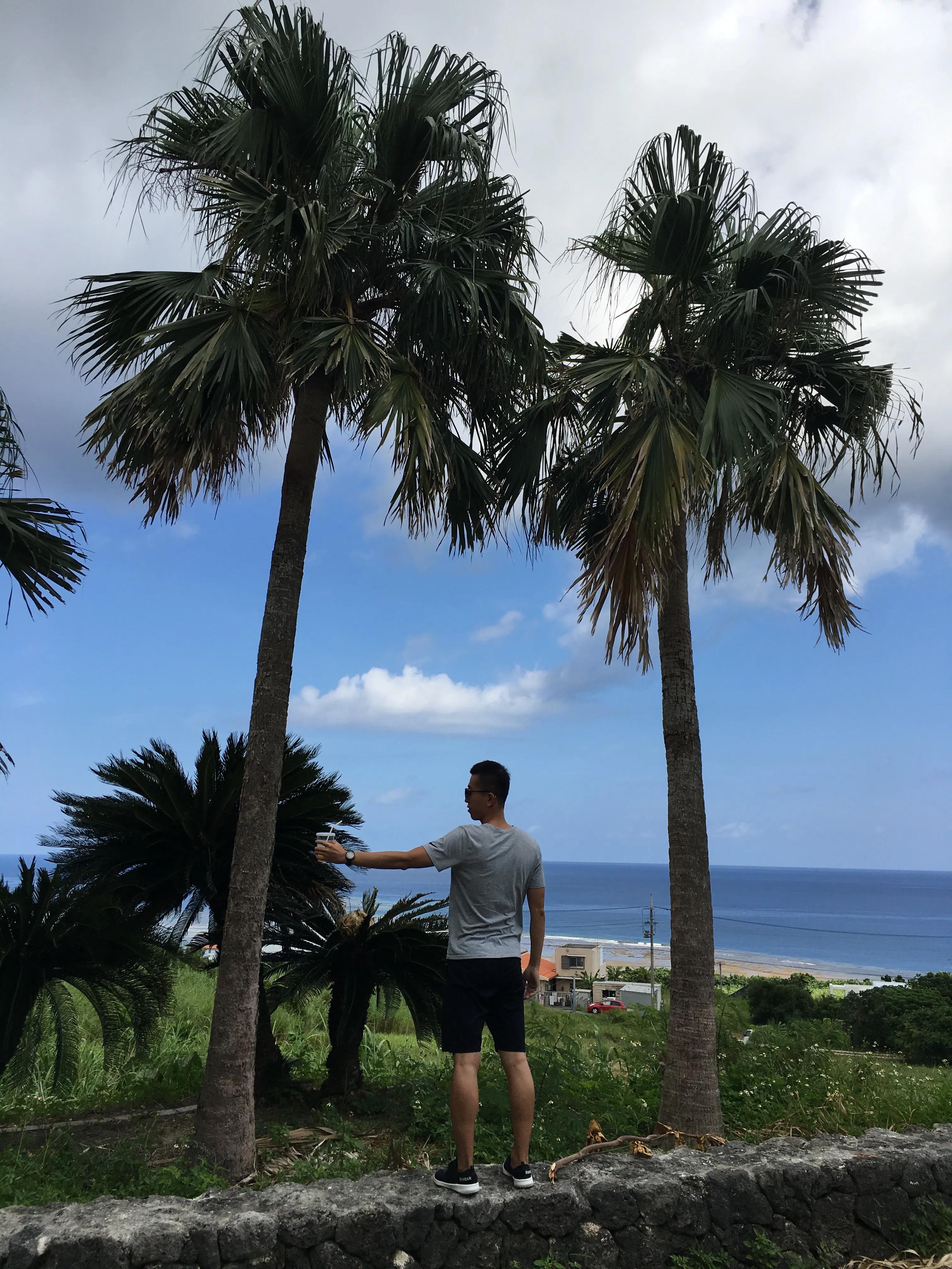 日本冲绳旅游攻略11月份最新,一个人的冲绳旅游探索未知的乐趣