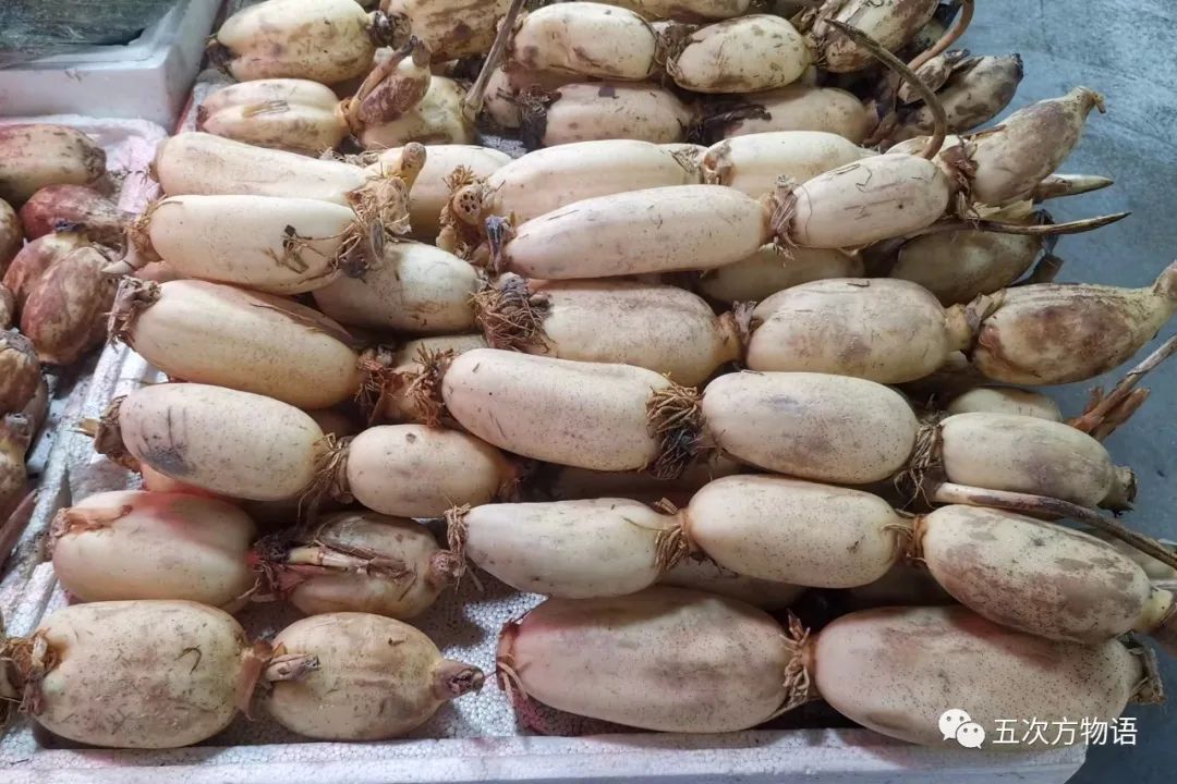 茎菜类蔬菜大全，你全吃过吗？