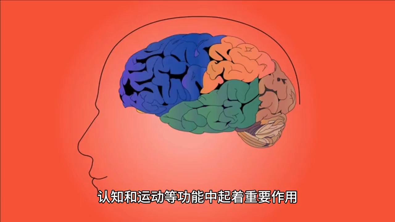 除了药物该怎么治疗抑郁症,关于抑郁症治理药物的论文
