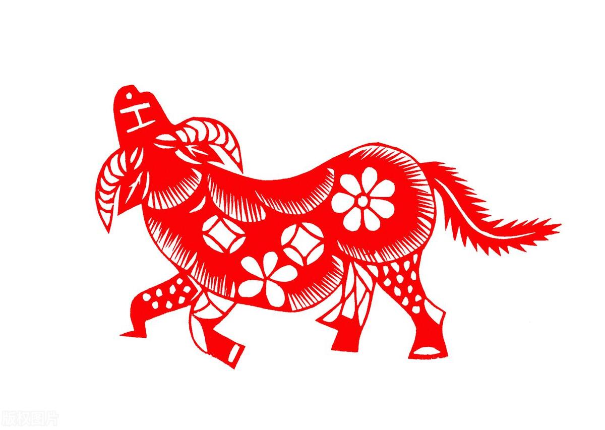 生肖牛提升运气的五个方法,生肖牛2024年运势详解完整版