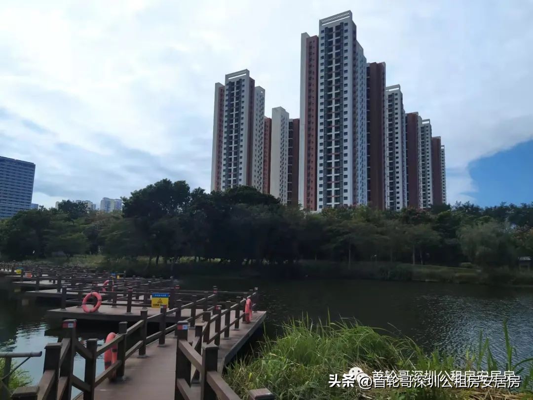 1.9万户认租，坪河雅苑等762套市级公租房认租名单公布