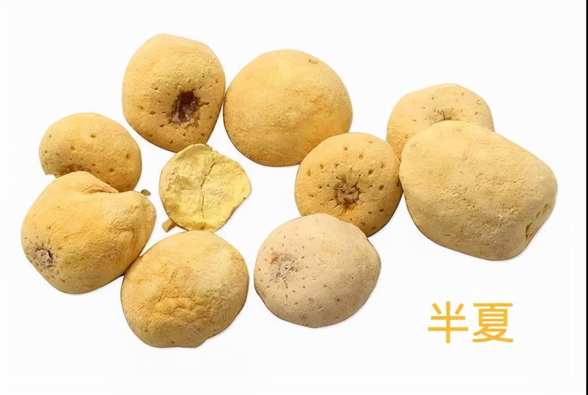 中医治疗痞满经验方1则--暖肝温胃，散寒降浊，行气消痞