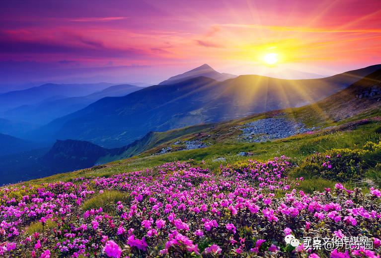 和美阳明·盛世花开：天下第一“和山”