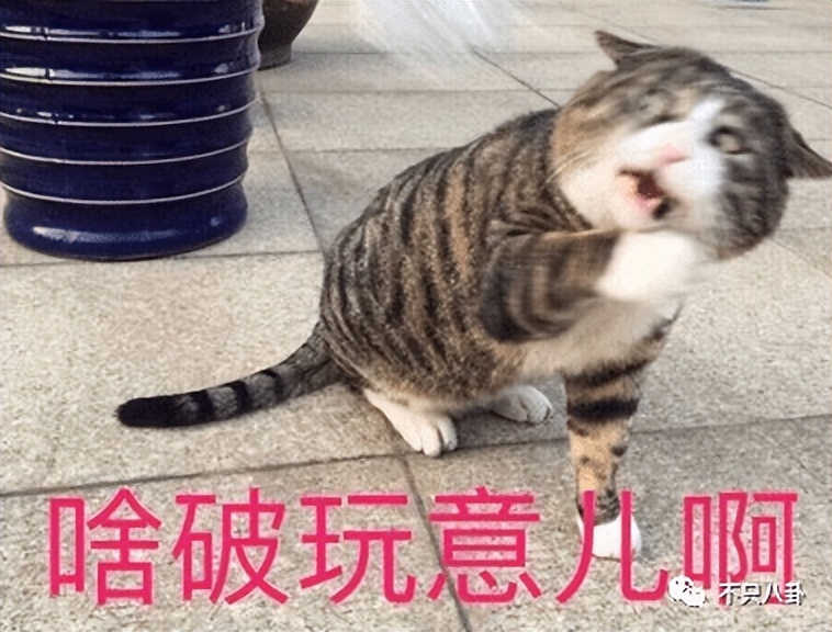 一身黑料还推他上位？难怪会被集体*制抵**啊！