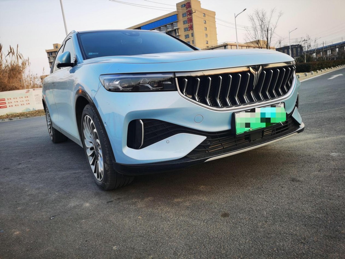 岚图FREE增程豪华版提车作业