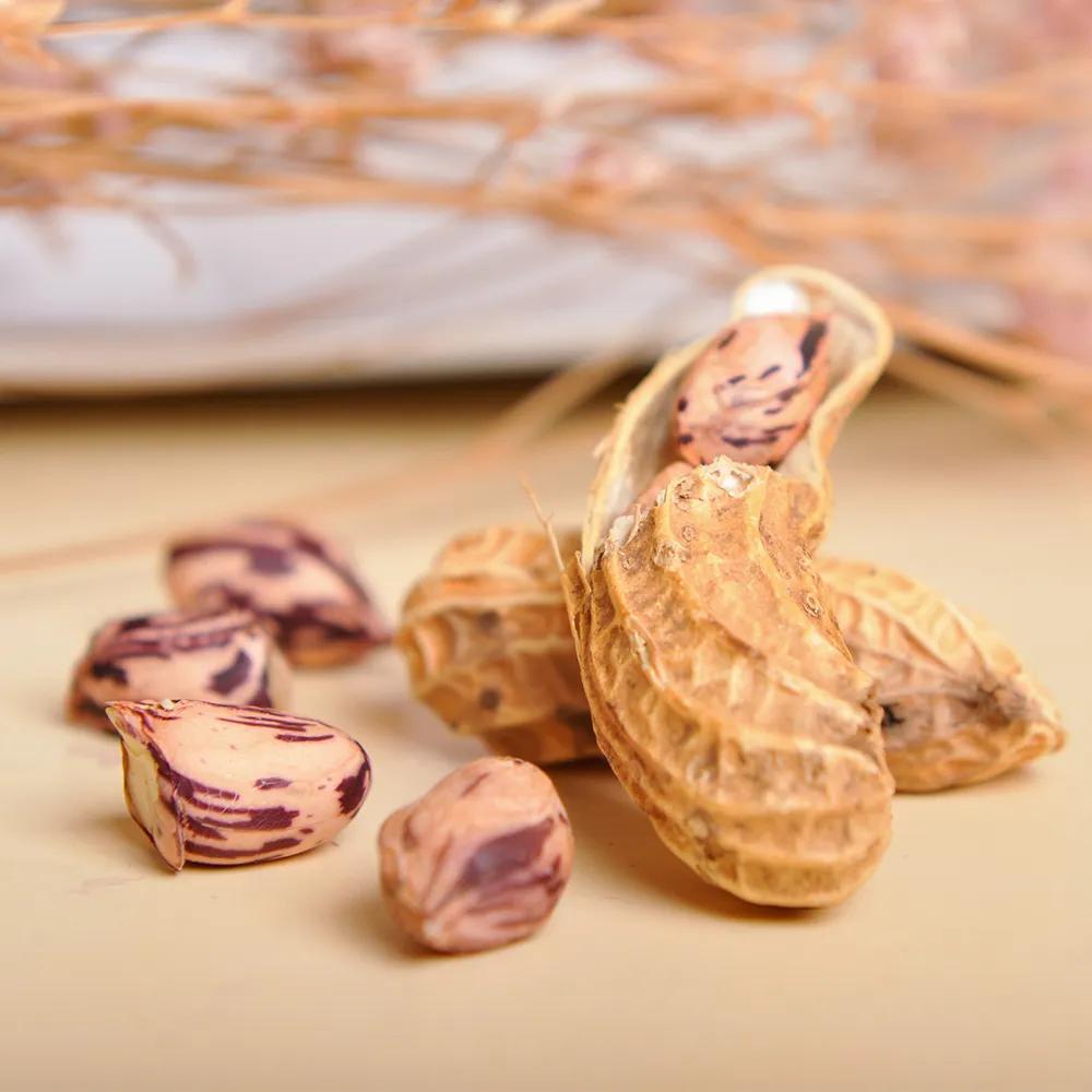 云南昭通土特产纯豌豆粉,云南的土特产有菌子吗