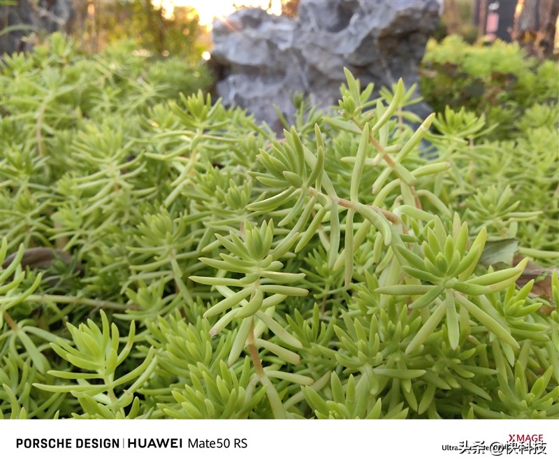 华为mate50rs保时捷设计超微距长焦,华为mate50rs保时捷4g网络评测
