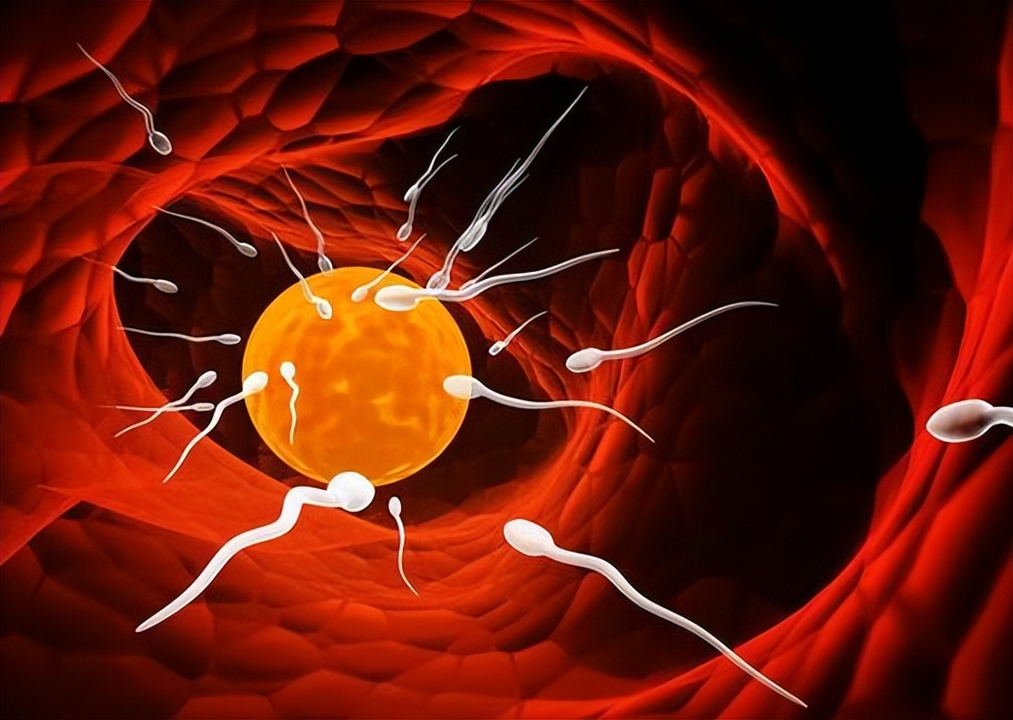 女性绝经期后多久不需再避孕,适合围绝经期妇女的避孕方式